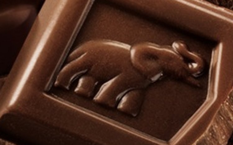 100 ans de chocolat Côte d'Or gratuits à gagner chocolat-cote-d'or-gratui