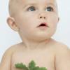 1-bebe-1-arbre