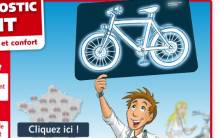 revision-gratuite-velo