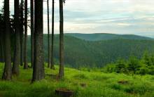 ikea-balade-foret-gratuit