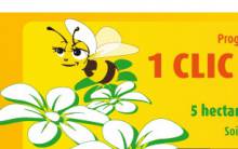 bon-plan-solidaire-abeill