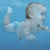 bon-plan-little-swimmers bon-plan-little-swimmers