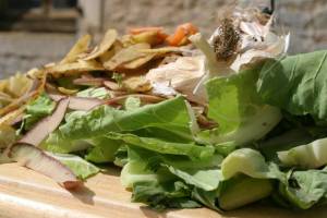 epluchures des épluchures alimentaires