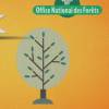 arbre-bon-plan-solidaire- arbre-bon-plan-solidaire-
