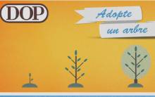 arbre-bon-plan-solidaire-