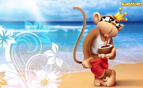kingoloto le singe kingoloto à la plage