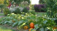 rendez-vous aux jardins rendez-vous aux jardins : un potager
