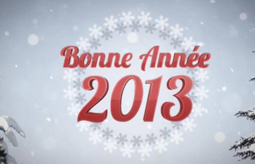 bonne année 2013 bonne année 2013 meilleurs voeux, meilleurs bons plans