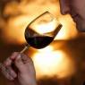 degustation-de-vin