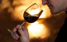 degustation-de-vin