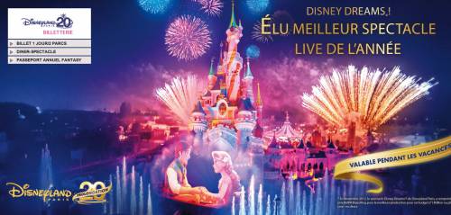 vente privée disneyland 2013 vente privée disneyland 2013 billets moins chers à partir de 35?