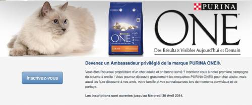 ambassadeur purina one ambassadeur purina one : test nourriture pour chat