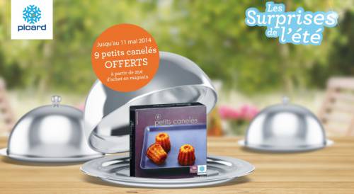 picard surprises de l'été picard surprises de l'été : promotions et bons de réduction
