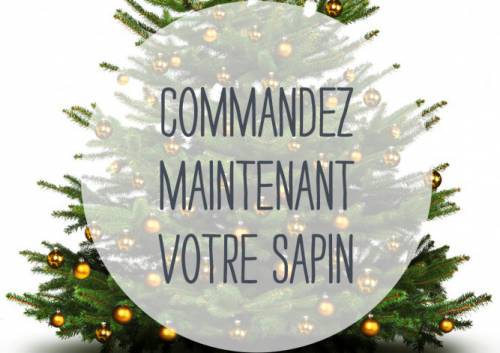chronodrive sapin de noël 2014 chronodrive sapin de noël 2014 avec 50% remboursé en points olé