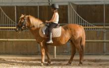 cours-poney-gratuits-pari