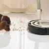 roomba-564-pet roomba-564-pet