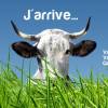 salon-agriculture-2012