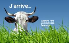 salon-agriculture-2012