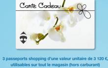 carrefour-cheque-cadeau