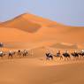 voyage-maroc
