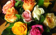 fleur-fete-des-meres
