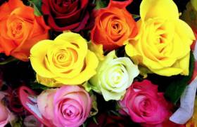 fleurs-fete-meres-1