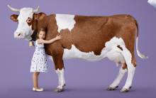 milka-adopte-vache