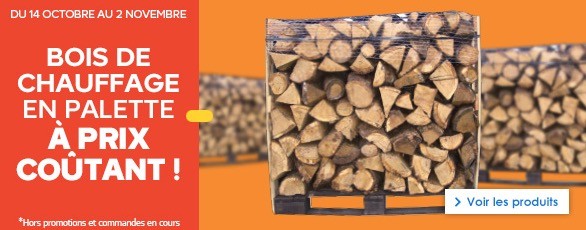 castorama : le bois de chauffage en palette à prix coûtant du 14 octobre au 2 novembre 2015 inclus