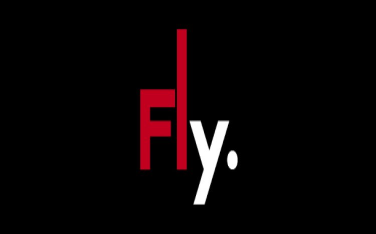 fly-destockage-2013