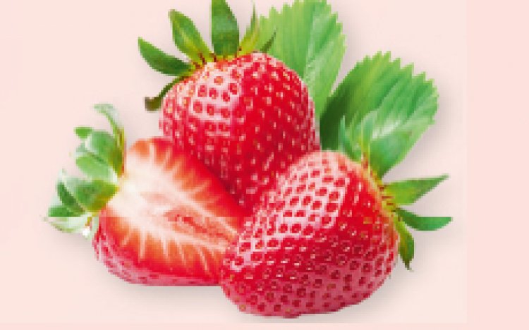 franprix-fraises