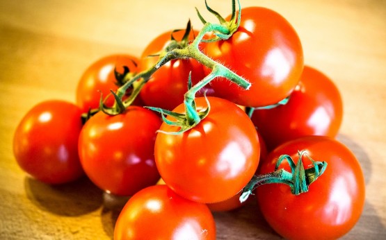 heinz-graines-tomate