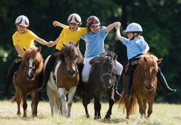 equitation pour tous 2015 - 2016 : 6 séances à cheval pour 50?