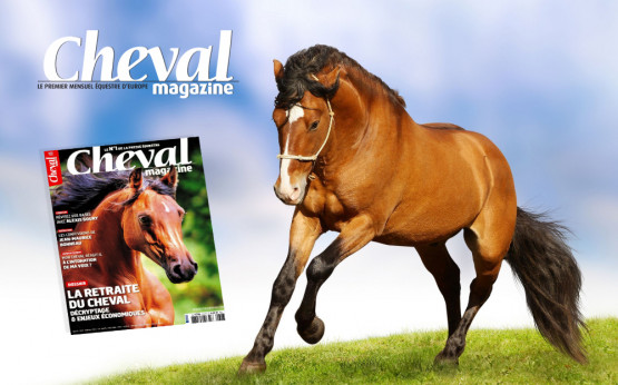 Promo Cheval Magazine : abonnement à 61€ (-33%)