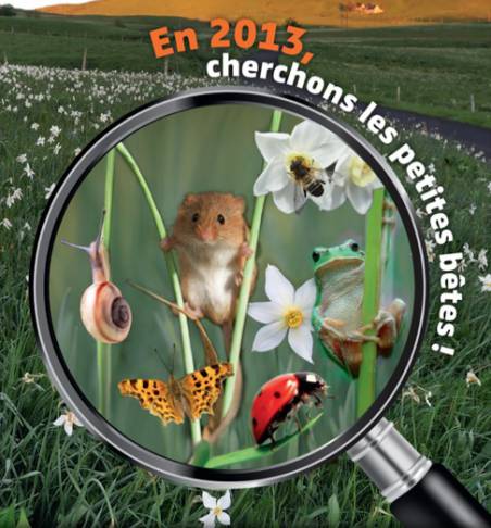fete de la nature 2013 cherchons les petites bêtes avec le journal gratuit