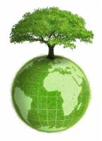 planète terre verte avec arbre au dessus