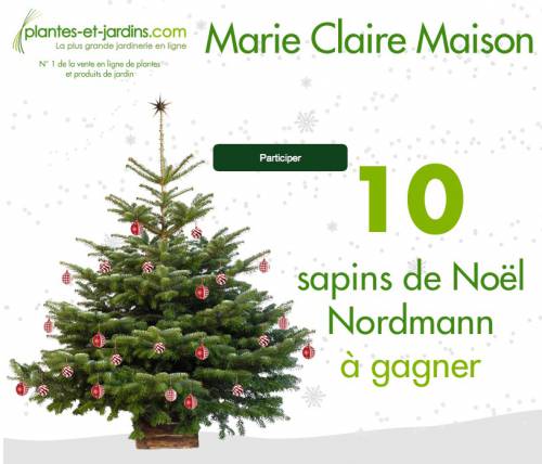 marie claire maison 10 sapins de noël 2012 nordmann à gagner